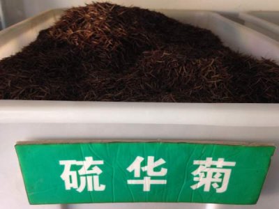 硫华菊种子报价哪家最便宜？