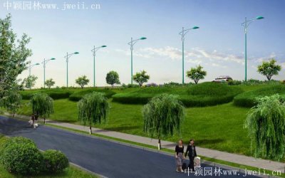 高速公路的护坡常常栽种什么？