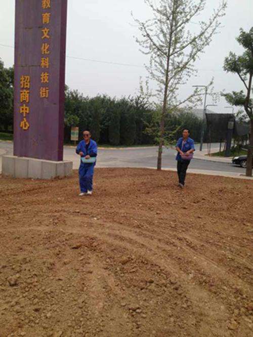 1537523254134014.jpg 撒种图片2.jpg