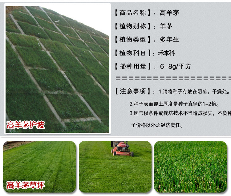 1537965979134758.jpg 百慕大护坡1.jpg
