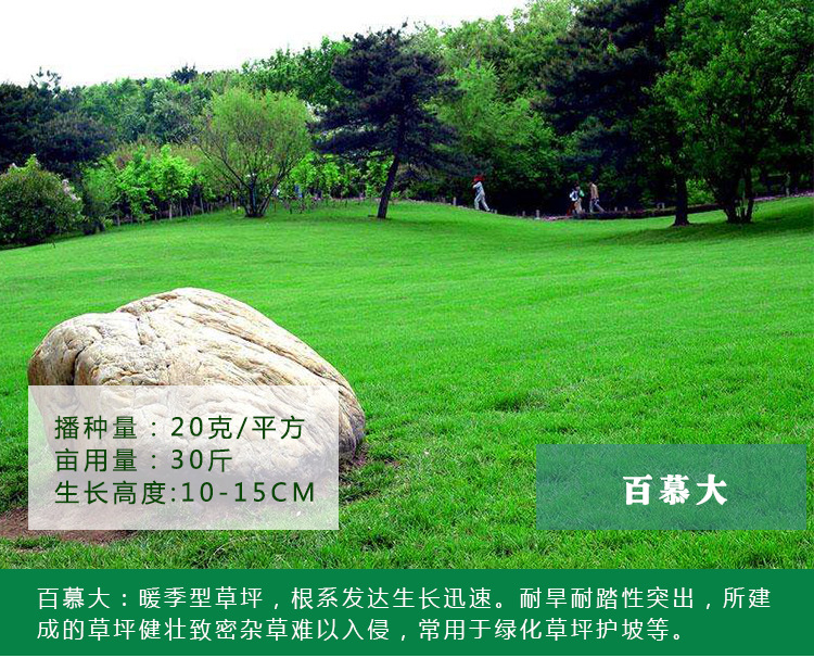 1537967250437768.jpg 草坪39.jpg