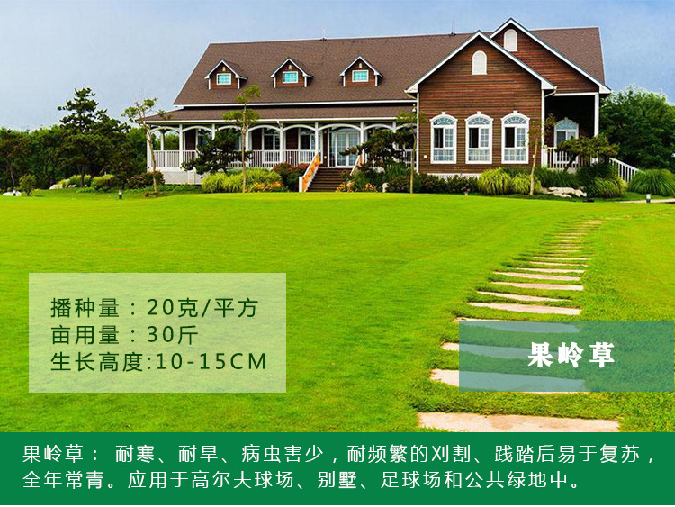 1537967478107341.jpg 果岭草1.jpg