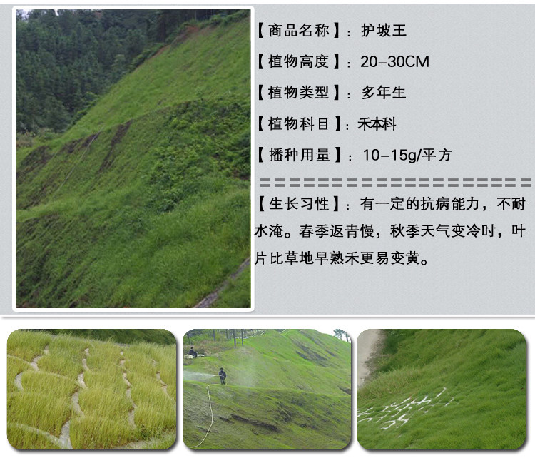 1537972477571238.jpg 护坡王1.jpg
