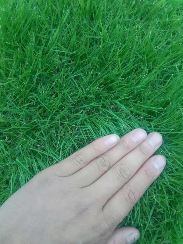 1539518138746778.jpg