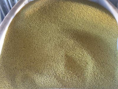 批发护坡草种代理加盟？