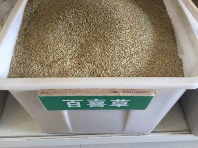 百喜草护坡效果怎么样？