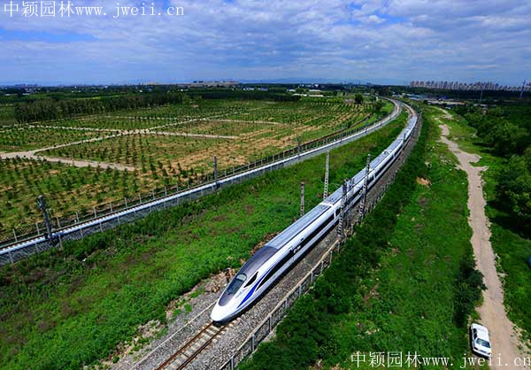 1567490283380654.jpg 护坡_副本.jpg