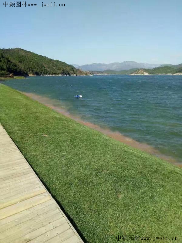 1571472577134607.jpg img_0581_副本 (1).jpg