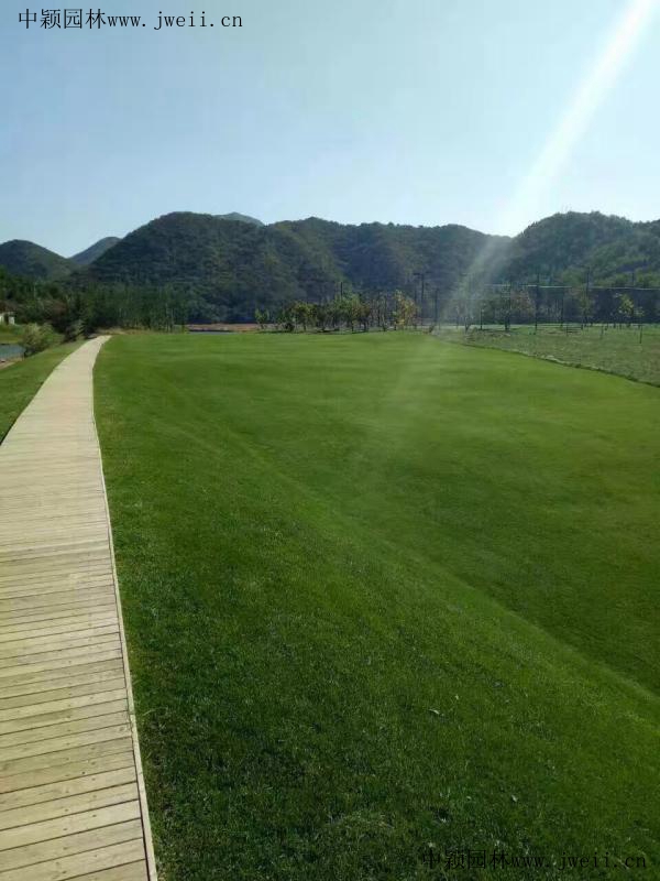 1571472591108205.jpg img_0587_副本.jpg