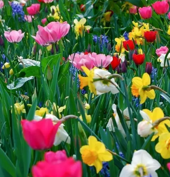 1573465266706435.png QQ截图20191111174045.png
