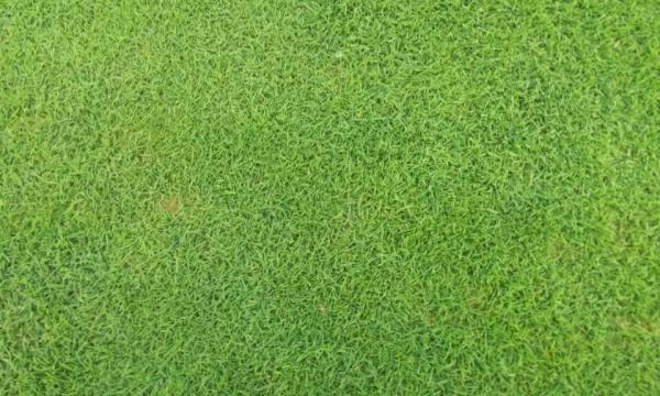 1577438802482637.jpg img_0878909090 (4).jpg