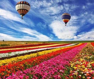 怎样打造景观花海工程 目前还存在的市政园林景观工程施工的问题