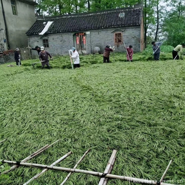 1587902828628988.jpg 微信图片_20200426143108_副本.jpg