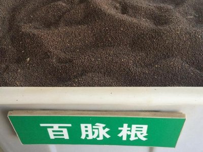 百脉根的功效与作用有哪些？