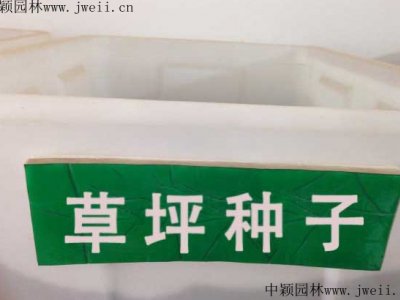 1平方米草平需要多少草种？