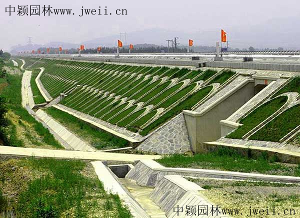 1627564161213783.jpg 高铁护坡1.jpg
