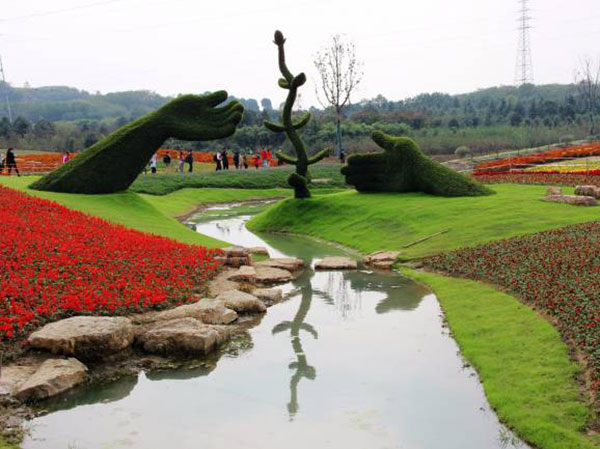 1630316471590092.jpg 花海植物3.jpg