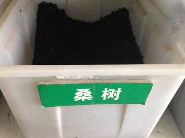 1632663166266262.jpg 桑树种子.jpg
