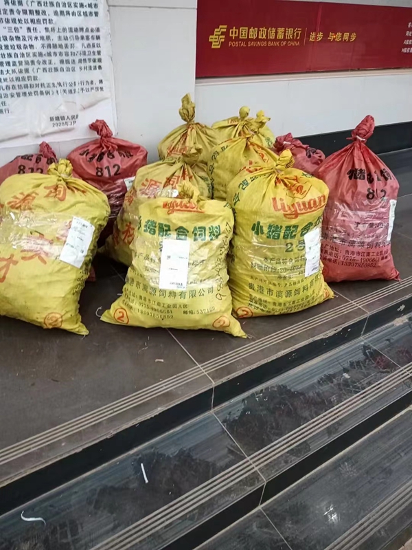 1637220045258772.jpg 皇竹草11.jpg