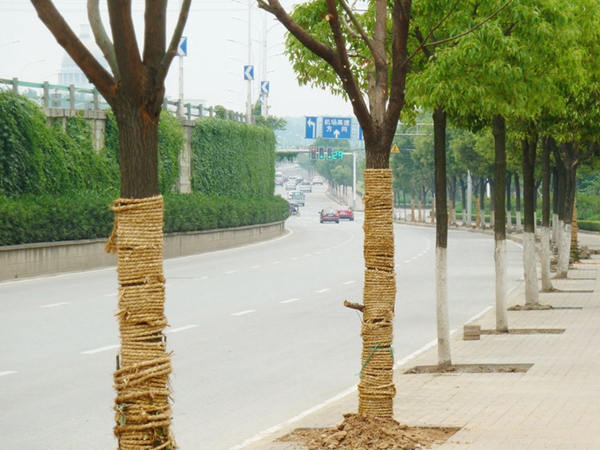 1638097351979245.jpg 草绳01.jpg