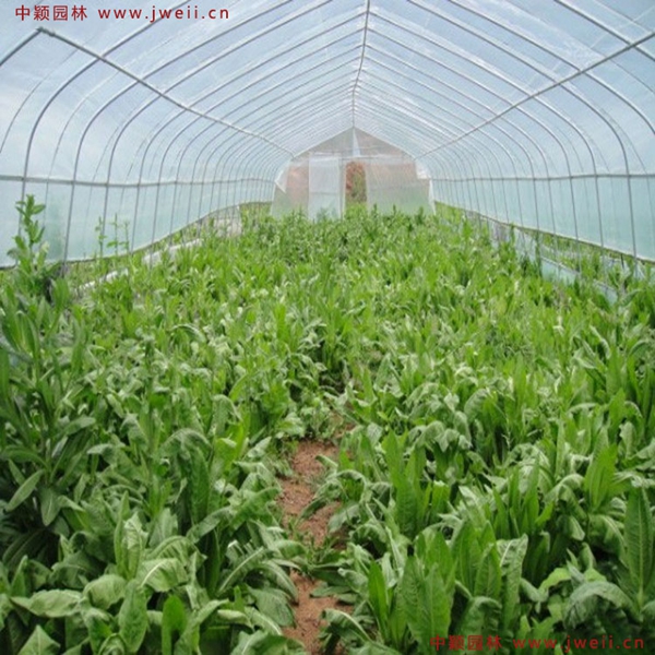 1638851038869989.jpg 1_副本.jpg