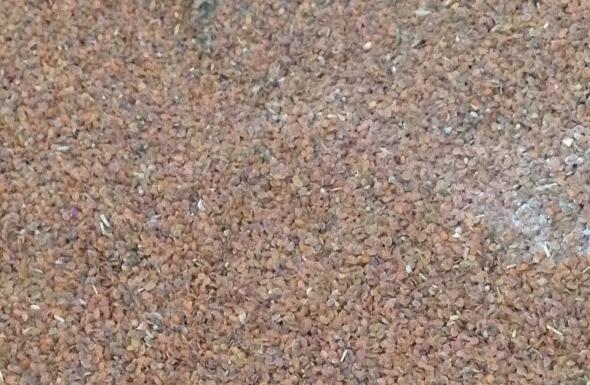 1578367570373699.jpg 1.jpg