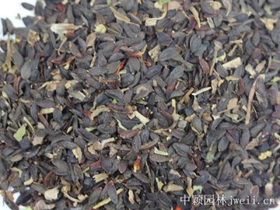 今年苦荬菜种子的最新价格？