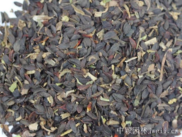 1642764087414154.jpg 苦荬菜2.jpg