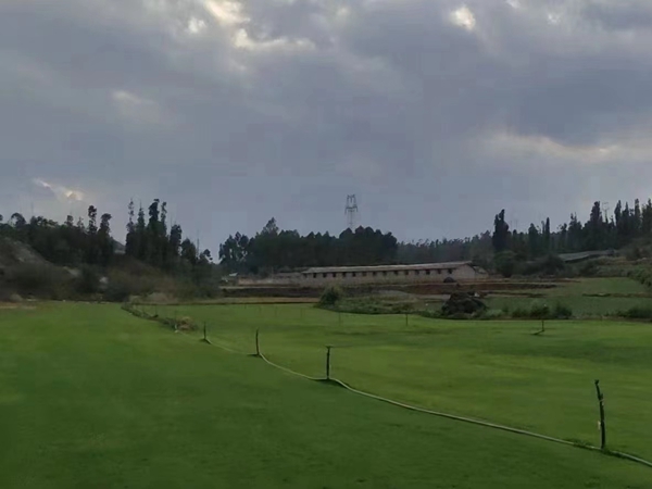 1649420331512811.jpg 护坡草坪8.jpg