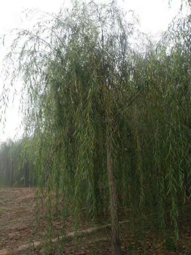 QQ图片20220411105753.jpg