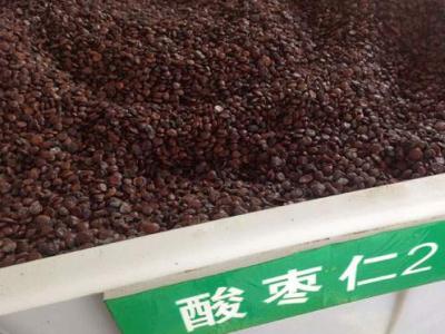 酸枣仁夏季可以种植吗？