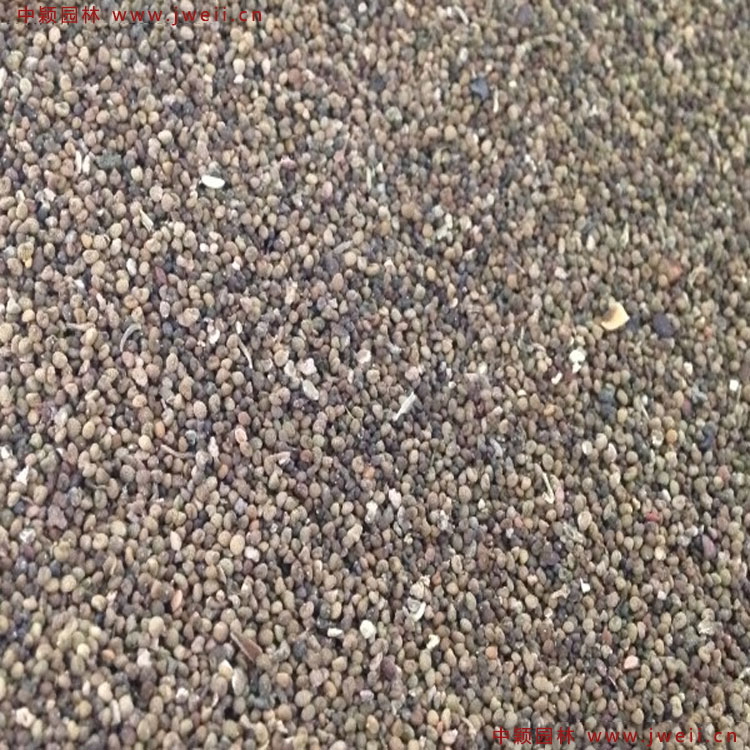 1649772813247106.jpg