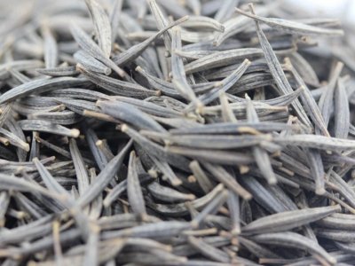 波斯菊需要每年播种吗？