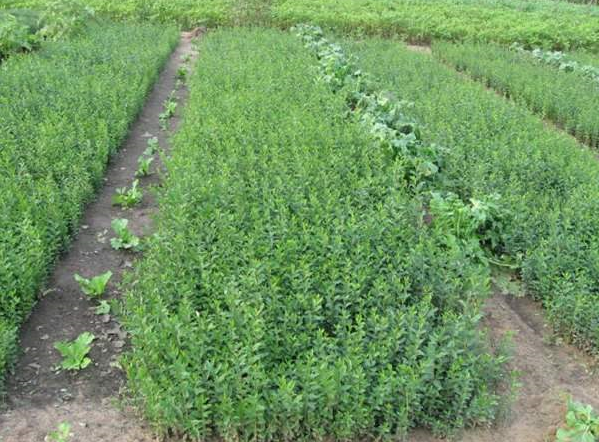 1650015439986776.png 微信截图_20220415173632.png