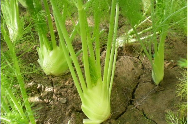 1650018219417825.png 微信截图_20220415182205.png