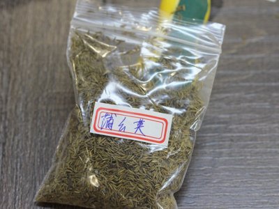 浦公英可以人工种植吗？