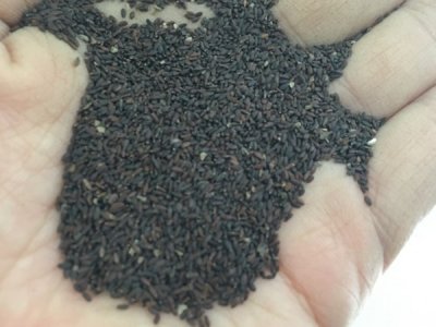 草花种子每平米播多少斤？