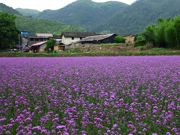 1655437408885020.jpg 9_副本.jpg