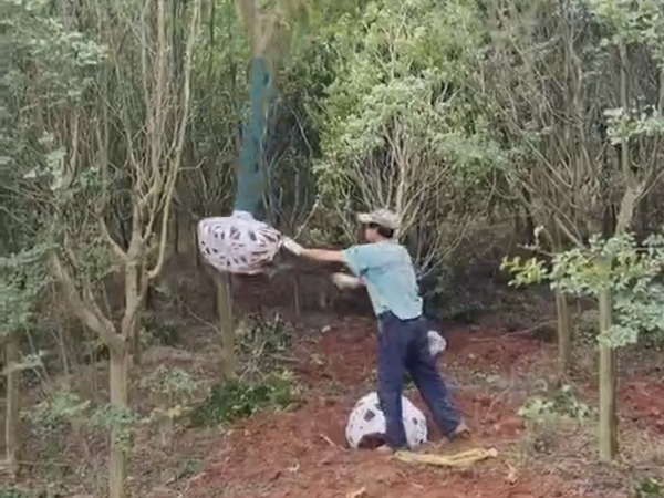 1655599393815366.png 布条.png