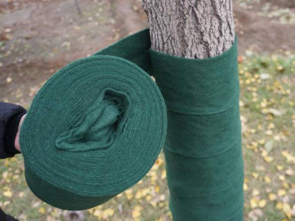 1661138178955348.jpg 包树布.jpg