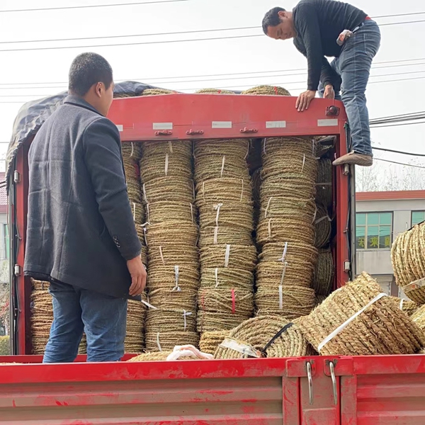 1661138324826397.jpg 草绳3.jpg