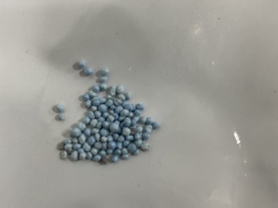 草花种子种植方法和技巧