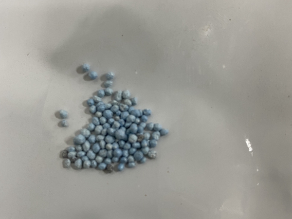 1670553903508869.jpg 喜林花2.jpg