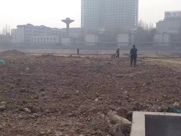 1672038798572068.jpg 撒种2.jpg