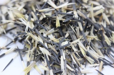 孔雀草花种子是什么样？