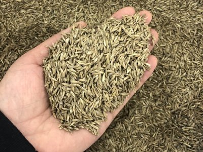 草坪种子种苗费用情况