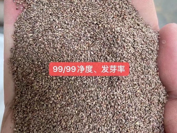1675944040876363.jpg 17.jpg