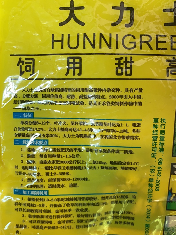 1676093939445519.jpg 大力士甜高粱8.jpg