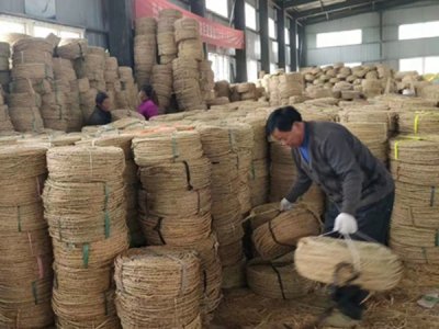 园林绿化中草绳绕树干的长度和用量怎么计算