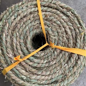 为什么用草绳缠绕树干